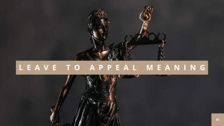 LEAVE TO APPEAL MEANING